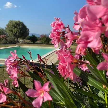 Apartment Agriturismo Agro Centorio *