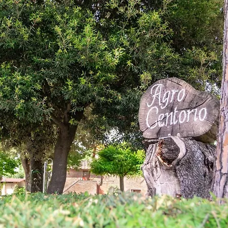 Agriturismo Agro Centorio Apartment Cortona